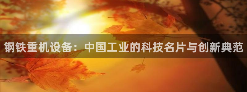 辉达娱乐属于什么档次：钢铁重机设备：中国工业的科技名片与创新
