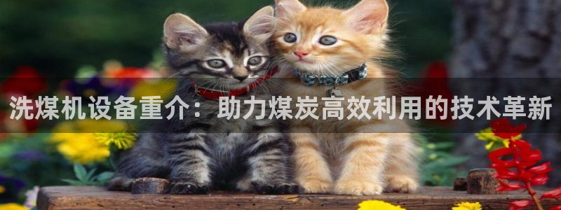 信誉辉达娱乐开户注册：洗煤机设备重介：助力煤炭高效利用的技术