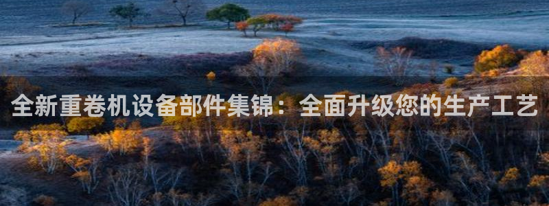 辉达娱乐己39444：全新重卷机设备部件集锦：全面升级您的生