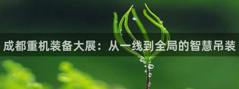 辉达娱乐游戏.直开.中国：成都重机装备大展：从一线到全局的智