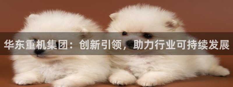 菲律宾辉达娱乐：华东重机集团：创新引领，助力行业可持续发展