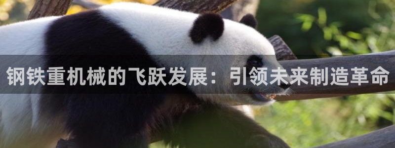 信誉辉达娱乐官方网址