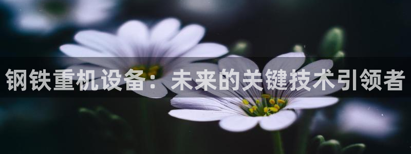 辉达平台官网下载：钢铁重机设备：未来的关键技术引领者