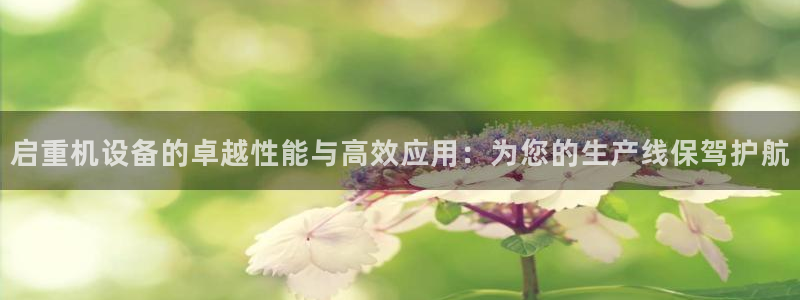 正规辉达娱乐开户注册：启重机设备的卓越性能与高效应用：为您的