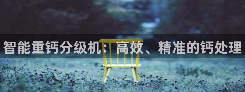 辉达娱乐 75505：智能重钙分级机：高效、精准的钙处理