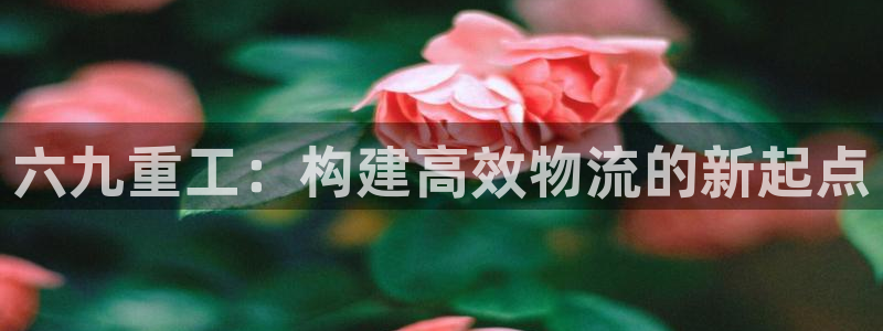 辉达娱乐游戏.直开.中国：六九重工：构建高效物流的新起点