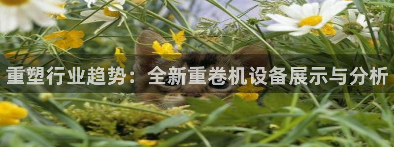 信誉辉达娱乐平台