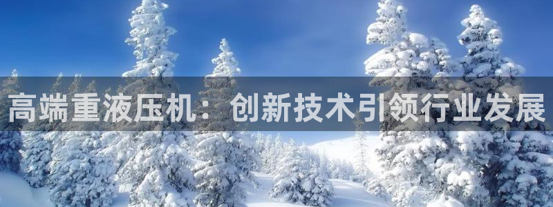 辉达平台官网电话