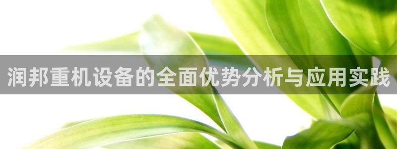 辉达娱乐己75505：润邦重机设备的全面优势分析与应用实践