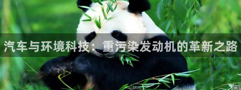 辉达娱乐丿39444