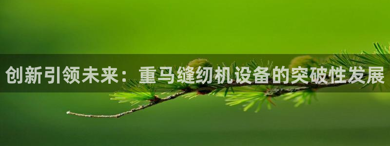 辉达娱乐最新现状：创新引领未来：重马缝纫机设备的突破性发展