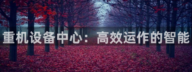 信誉辉达娱乐开户注册