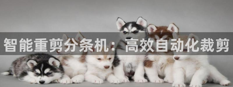 辉达娱乐丨39444：智能重剪分条机：高效自动化裁剪