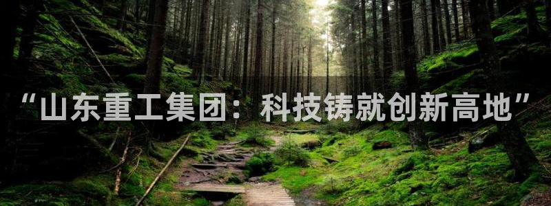辉达娱乐123123：“山东重工集团：科技铸就创新高地”