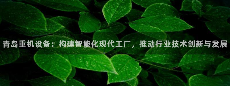 辉达娱乐丿75505