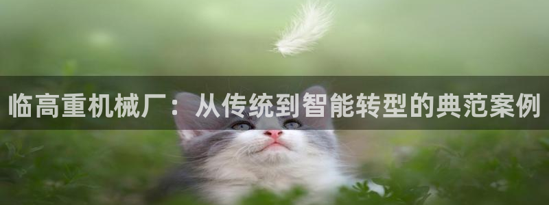 信誉辉达娱乐官方网址：临高重机械厂：从传统到智能转型的典范案