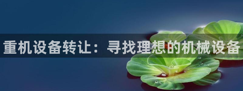 正规辉达娱乐官方网址