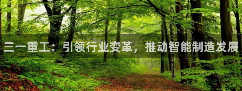 辉达娱乐珈75775