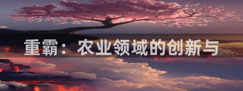 辉达娱乐丨39444