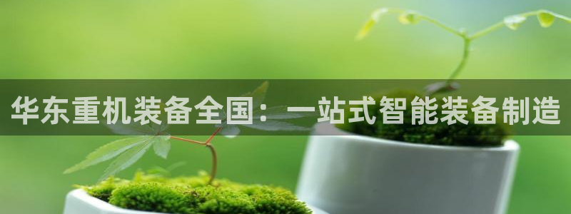 辉达娱乐线路检测