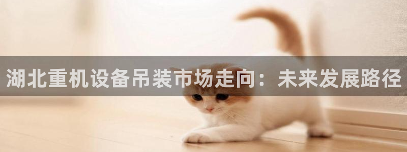 辉达娱乐重庆时时彩注册：湖北重机设备吊装市场走向：未来发展路