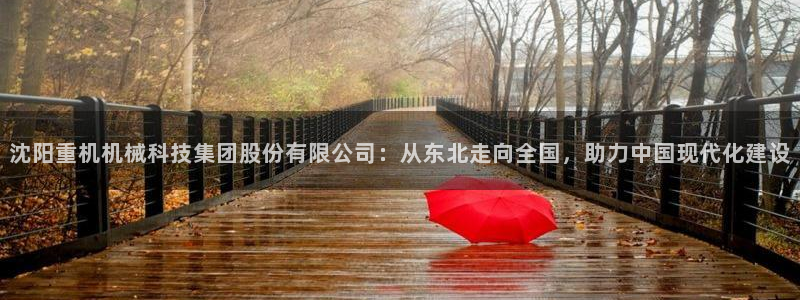 正规辉达娱乐开户注册：沈阳重机机械科技集团股份有限公司：从东