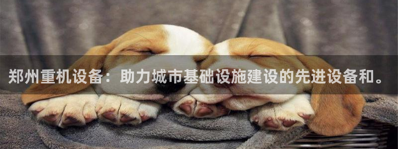 专业辉达娱乐平台