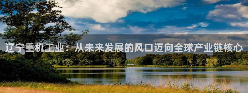 正规辉达娱乐在线游戏：辽宁重机工业：从未来发展的风口迈向全球