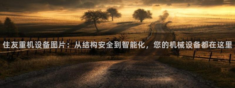 辉达娱乐加q75775稳定：住友重机设备图片：从结构安全到智