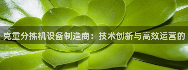达娱乐辉70667：克重分拣机设备制造商：技术创新与高效运营