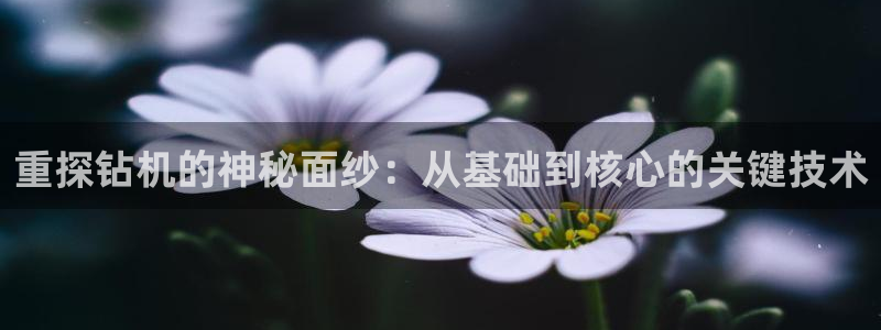 辉达娱乐丶39444