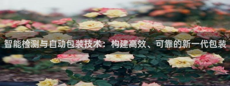 辉达怎么样