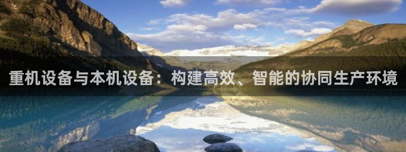 辉达娱乐丶39444：重机设备与本机设备：构建高效、智能的协