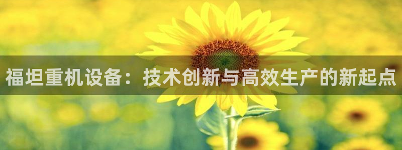 辉达娱乐丿75505