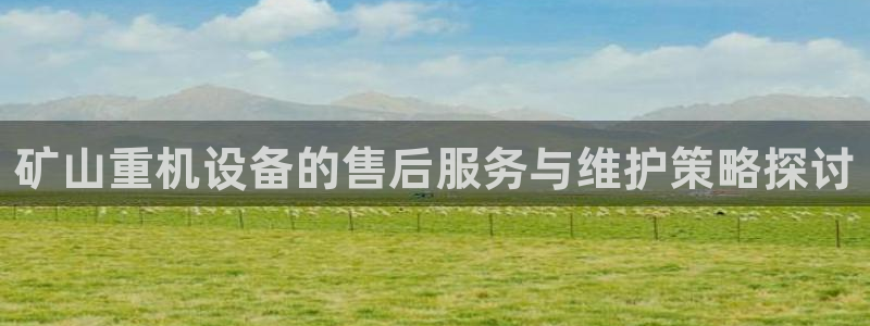 达娱乐辉70667：矿山重机设备的售后服务与维护策略探讨