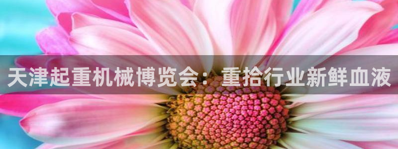 辉达娱乐：天津起重机械博览会：重拾行业新鲜血液