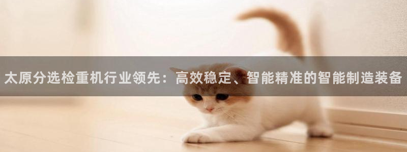 辉达平台娱乐怎么样