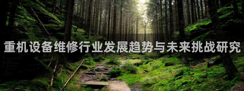 辉达娱乐多少年