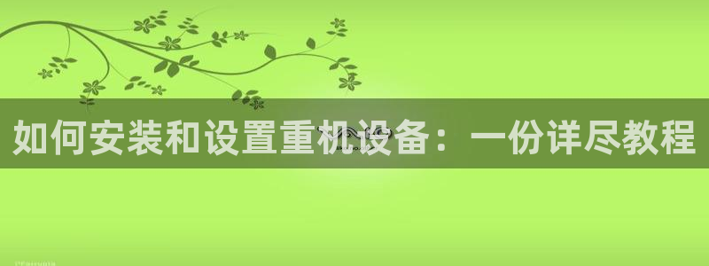 辉达怎么样